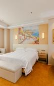 Туры в отель Vienna International Hotel (Chengdu Pidu Bailun Plaza)