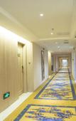 Туры в отель Vienna International Hotel (Chengdu Pidu Bailun Plaza)