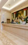 Туры в отель Vienna International Hotel (Chengdu Pidu Bailun Plaza)
