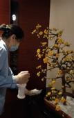 Туры в отель Jining Juntao Grand Hotel