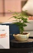 Туры в отель Jinyi Select Hotel (Baotou Wanda)