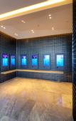 Туры в отель The YUN Resort Shenzhen Longcheer