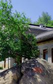Туры в отель Shijiazhuang Pingshan Golden Benzhai Hotel