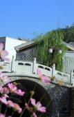 Туры в отель Shijiazhuang Pingshan Golden Benzhai Hotel