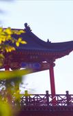 Туры в отель Shijiazhuang Pingshan Golden Benzhai Hotel