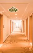 Туры в отель Vienna 3 Best Hotel Vienna (Zhengzhou Shuanghu Avenue Subway Station)