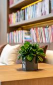 Туры в отель MOOJEE HOTEL(Zhongshan Dongfeng Daxin store)