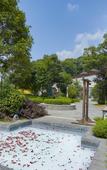 Туры в отель Huitang Hot Spring Resort