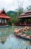 Туры в отель Amazing Orchid Pavilion Hotspring Hotel.