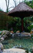 Туры в отель Amazing Orchid Pavilion Hotspring Hotel.