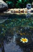 Туры в отель Amazing Orchid Pavilion Hotspring Hotel.