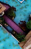 Туры в отель Amazing Orchid Pavilion Hotspring Hotel.