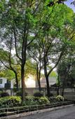 Туры в отель Kaiyuan Life Lujia Inn