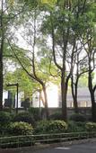 Туры в отель Kaiyuan Life Lujia Inn