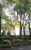 Туры в отель Kaiyuan Life Lujia Inn