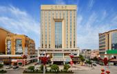 Туры в отель Haili Hotel (Dongguan Dalang Songshan Lake)
