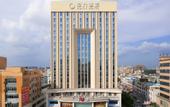 Туры в отель Haili Hotel (Dongguan Dalang Songshan Lake)