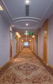 Туры в отель Vienna Hotel (Jiujiang Duchangxin Bus Station)