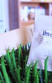 Туры в отель Zhuhai IMOK Hotel