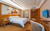 Туры в отель Vienna International Hotel (Guiyang Yunyan District Century Jinyuan Shopping Center)