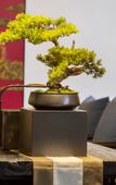 Туры в отель Qianna Hotel(WenhuaroadJianKangRoadBranch)