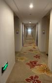 Туры в отель GreenTree Eastern Hotel (Suzhou Park Expo Center Yangcheng Lake United Square)