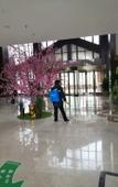Туры в отель Huangshan Ro-easy Resort