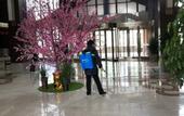 Туры в отель Huangshan Ro-easy Resort