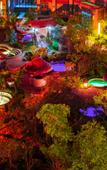 Туры в отель Huangshan Ro-easy Resort