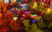 Туры в отель Huangshan Ro-easy Resort