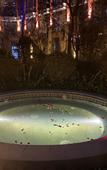Туры в отель Huangshan Ro-easy Resort