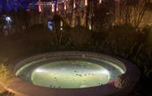 Туры в отель Huangshan Ro-easy Resort