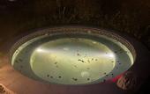 Туры в отель Huangshan Ro-easy Resort