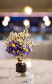 Туры в отель Tuke China Hotel (Pingyang Baiyue Plaza)