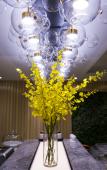 Туры в отель Tuke China Hotel (Pingyang Baiyue Plaza)