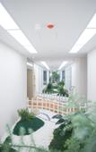 Туры в отель Hidden Hotel