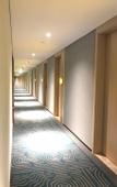 Туры в отель Qilai Light Luxury Hotel