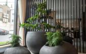 Туры в отель Huafu Jincheng Hotel
