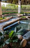 Туры в отель Seaview Hot Spring Holiday Hotel
