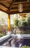 Туры в отель Yixing Bamboo Sea Suiyuan Valley Hotel