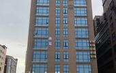 Туры в отель Hanyi S Hotel (Dongguan Songshan Lake Textile Center)