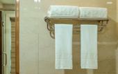 Туры в отель Hanyi S Hotel (Dongguan Songshan Lake Textile Center)