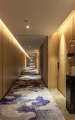 Туры в отель Shanshui S Hotel (Huizhou Xinhua Plaza)