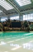 Туры в отель Mogan Mountain Senbo nature park&resort