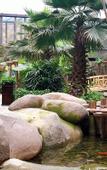 Туры в отель Mogan Mountain Senbo nature park&resort