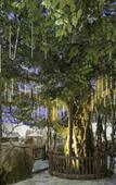 Туры в отель Mogan Mountain Senbo nature park&resort
