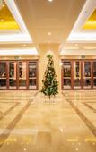 Туры в отель Vienna Hotel (Yingtan High-Tech Longhushan Avenue)