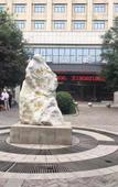 Туры в отель Tangdao Hotel (Xi'an Zaohe Subway Station Sanqiao Branch)