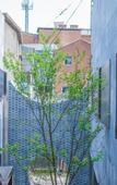 Туры в отель LAN Guxiang Design Hotel (Yangzhou Dongguan Street)