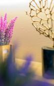 Туры в отель Magnotel (Tongxiang Shimao Center)